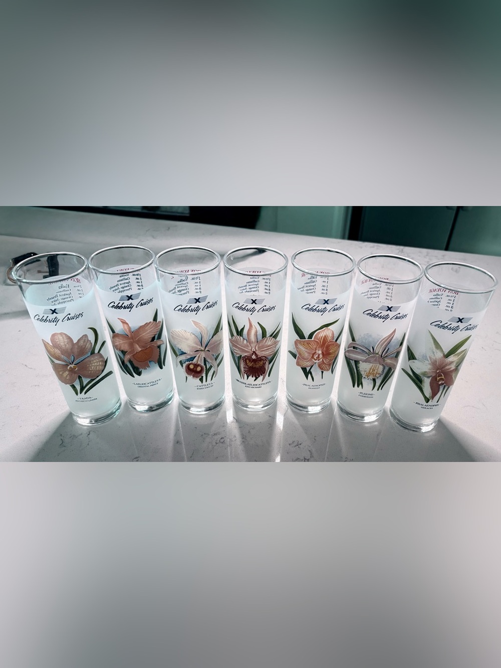 Celebrity Cruises Orchid Botanical Frosted Glasses - Highball/Collins